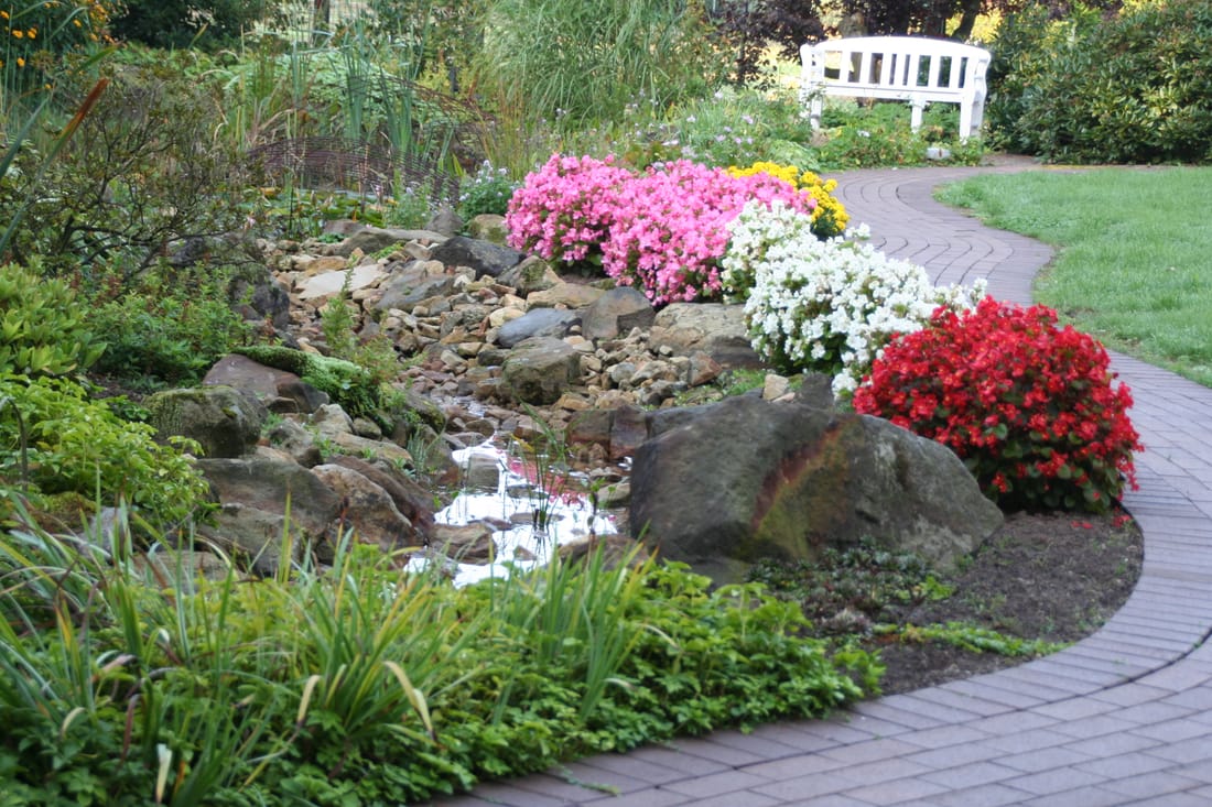 Pflanzen – Garten- und Landschaftsbau Paepenmöller